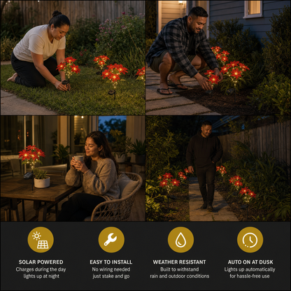 Solar Poinsettia Garden Lights with Red Flower Heads