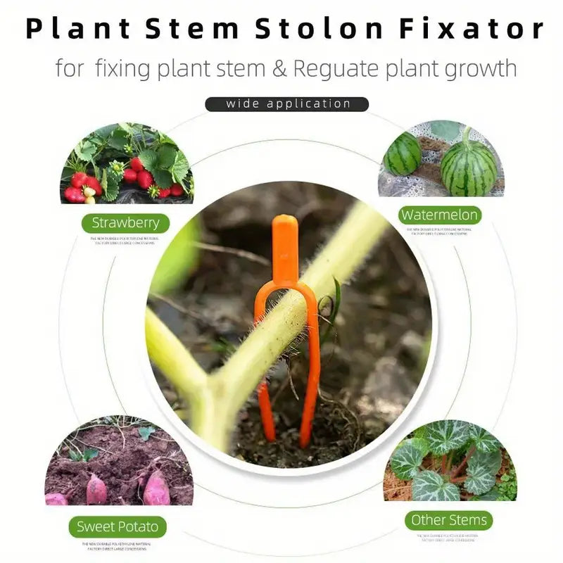 Plastic Garden Plant Support Clamps for Optimum Plant Stability