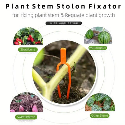 Plastic Garden Plant Support Clamps for Optimum Plant Stability