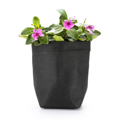 Stylish Paper Planters for Modern Decoration