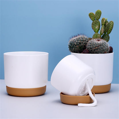 Self - Watering Flower Pot for Orchids and Plants - Plastic Planter
