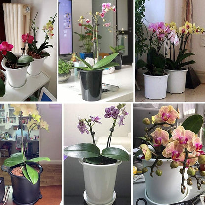 Breathable Root Control Pot for Plants - Ideal for Healthy Growth and Optimum Ventilation
