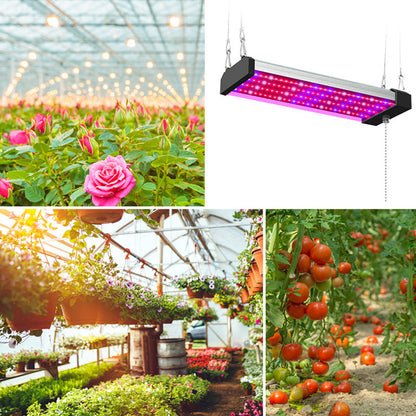 Led Plant Lamp With Full Spectrum Lighting And Pull Switch For Optimum Plant Growth