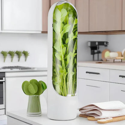 Airtight Herb Container For Longer Freshness And Space - Saving Storage