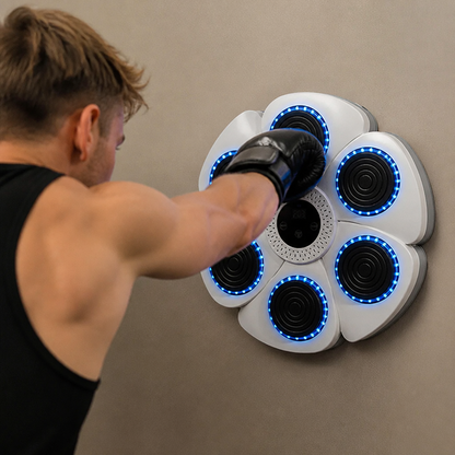Interactive Training Wall
