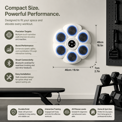 Interactive Training Wall
